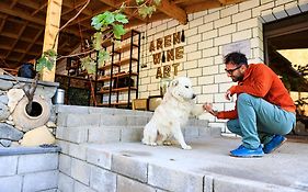 Areni Wine Art